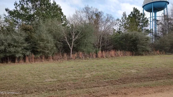 $10,500 | North Resort Drive, Lumberton, MS 39455