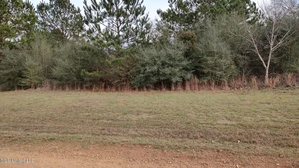 $10,500 | North Resort Drive, Lumberton, MS 39455