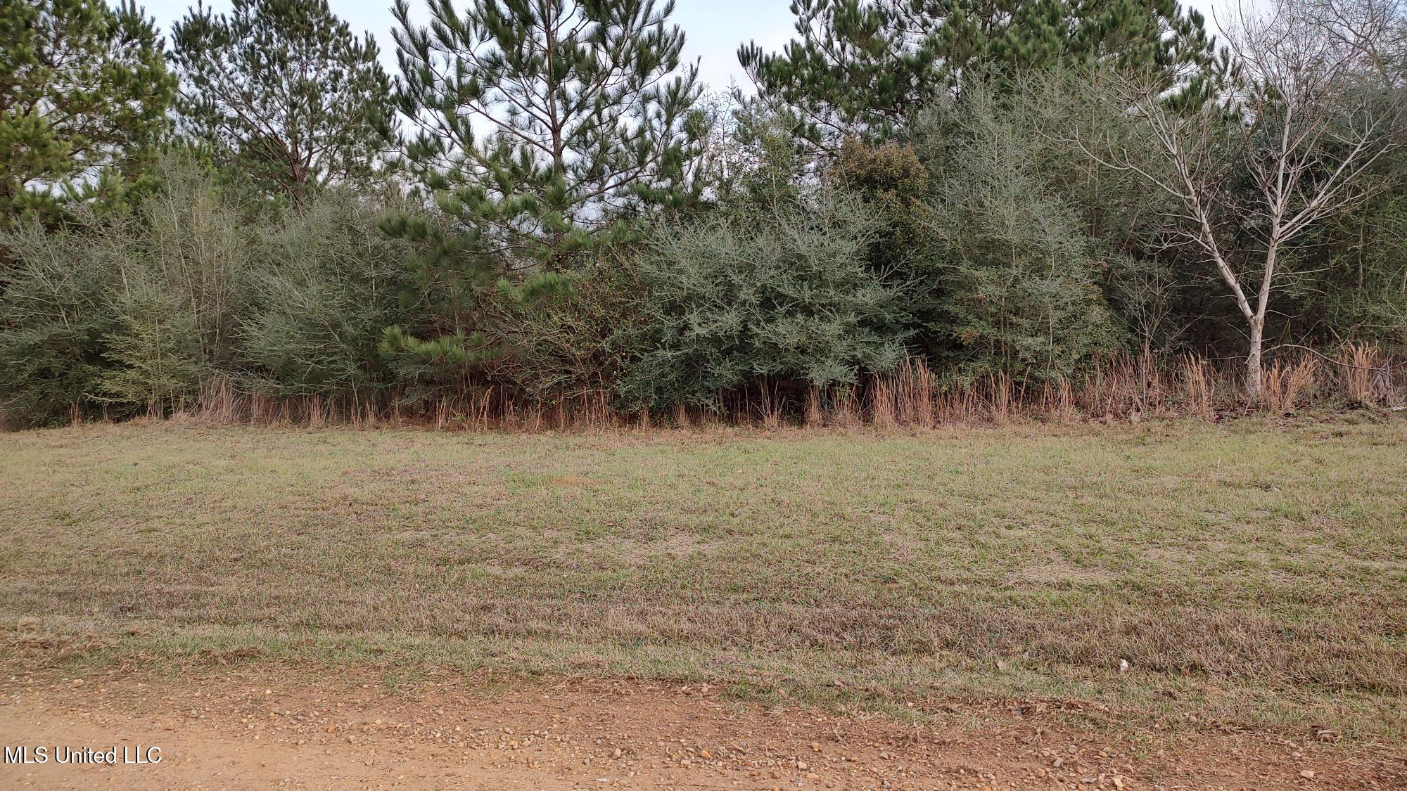 North Resort Drive Lumberton, MS 39455 - Photo 2 of 5 RESORT DR N