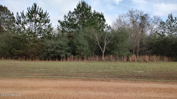 $10,500 | North Resort Drive, Lumberton, MS 39455