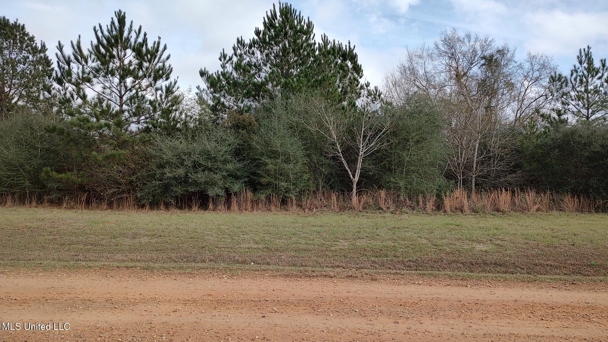 North Resort Drive Lumberton, MS 39455 - Photo 3 of 5 RESORT DR N V2