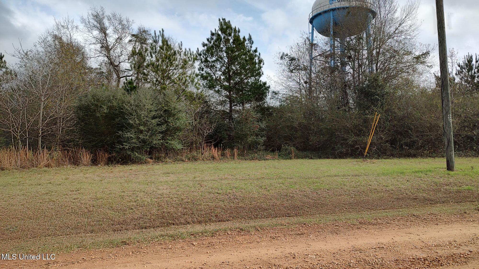 North Resort Drive Lumberton, MS 39455 - Photo 4 of 5 RESORT DR N V3