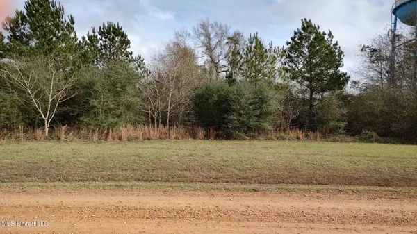 $10,500 | North Resort Drive, Lumberton, MS 39455
