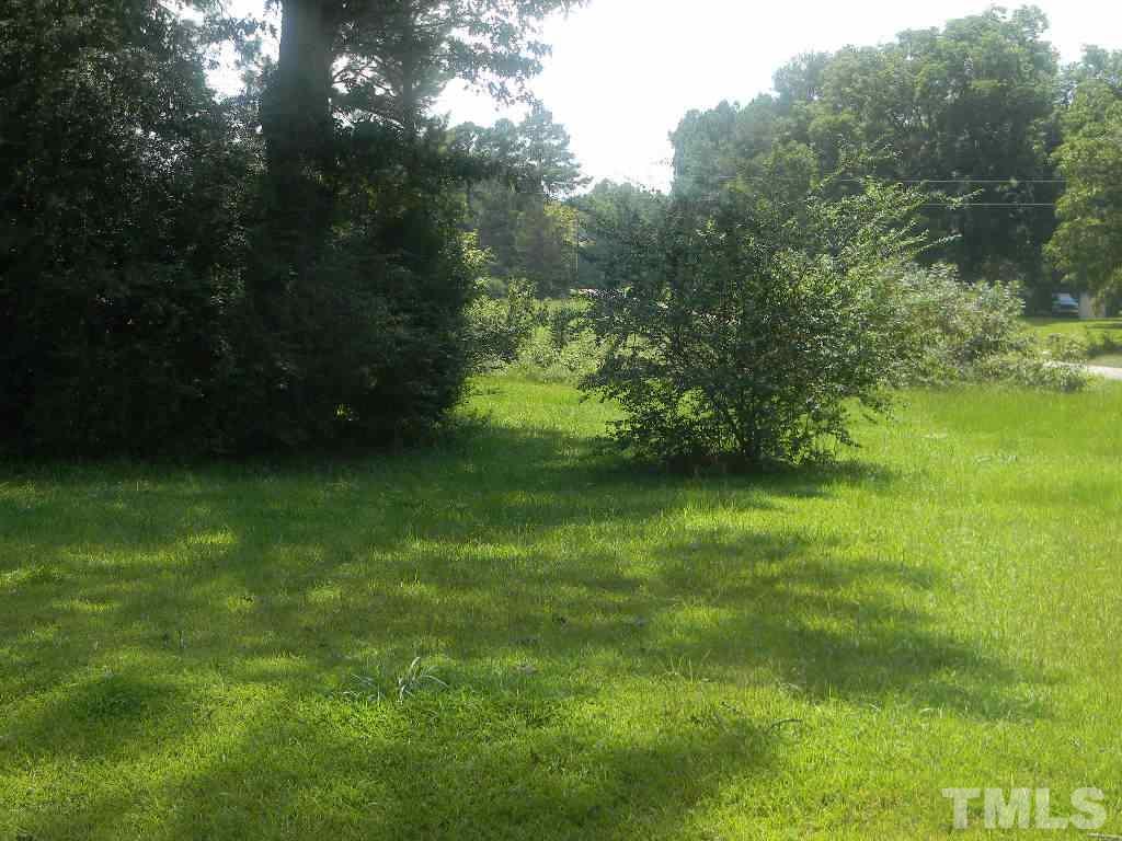10777 West Old Spring Hope Road Spring Hope, NC 27882 - Photo 3 of 6