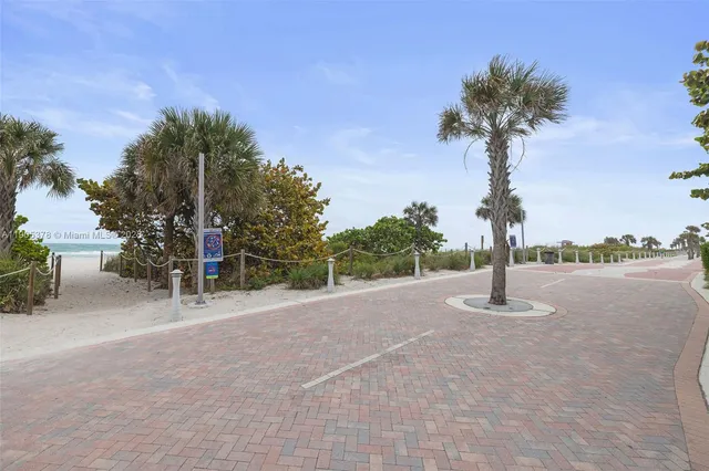 a view of a park with a tree