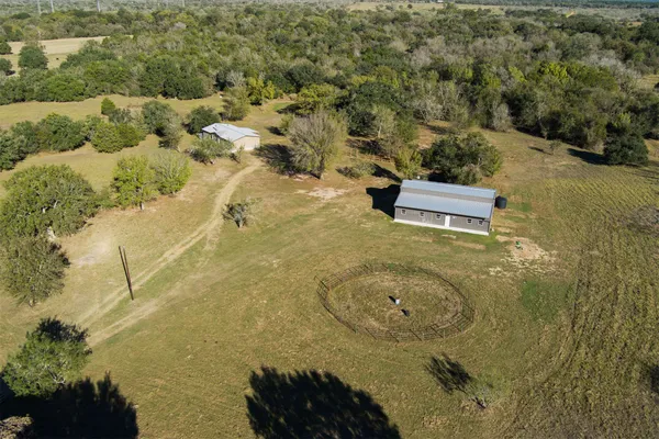 a view of a yard with a tree