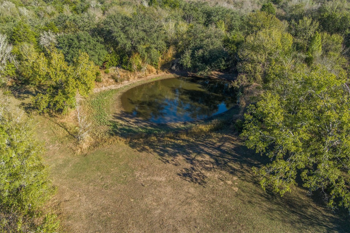 421 Krchnak Road Smithville, TX 78957 - Photo 40 of 40 a view of a yard with a tree