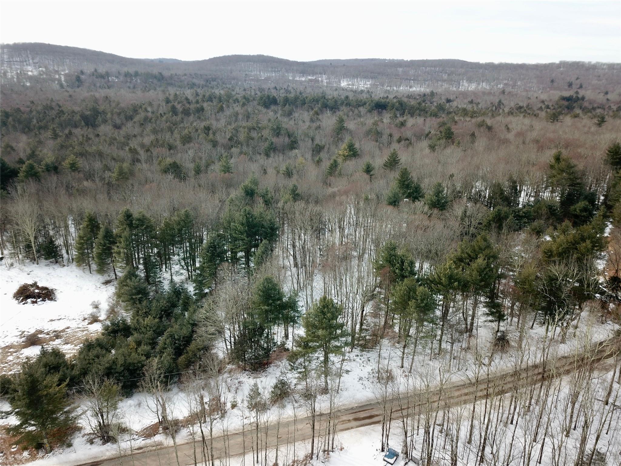 Low Road Neversink, NY 12765 - Photo 1 of 1 Gallery Image 1