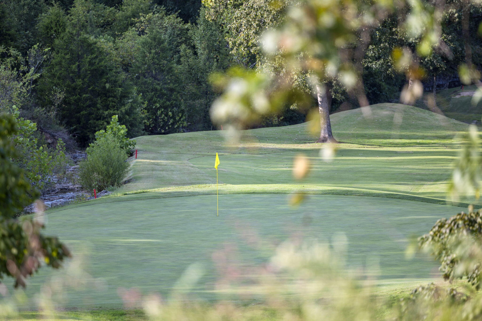 4 Fox Hollow Road Reeds Spring, MO 65737 - Photo 23 of 26 29-web-or-mls-B-8