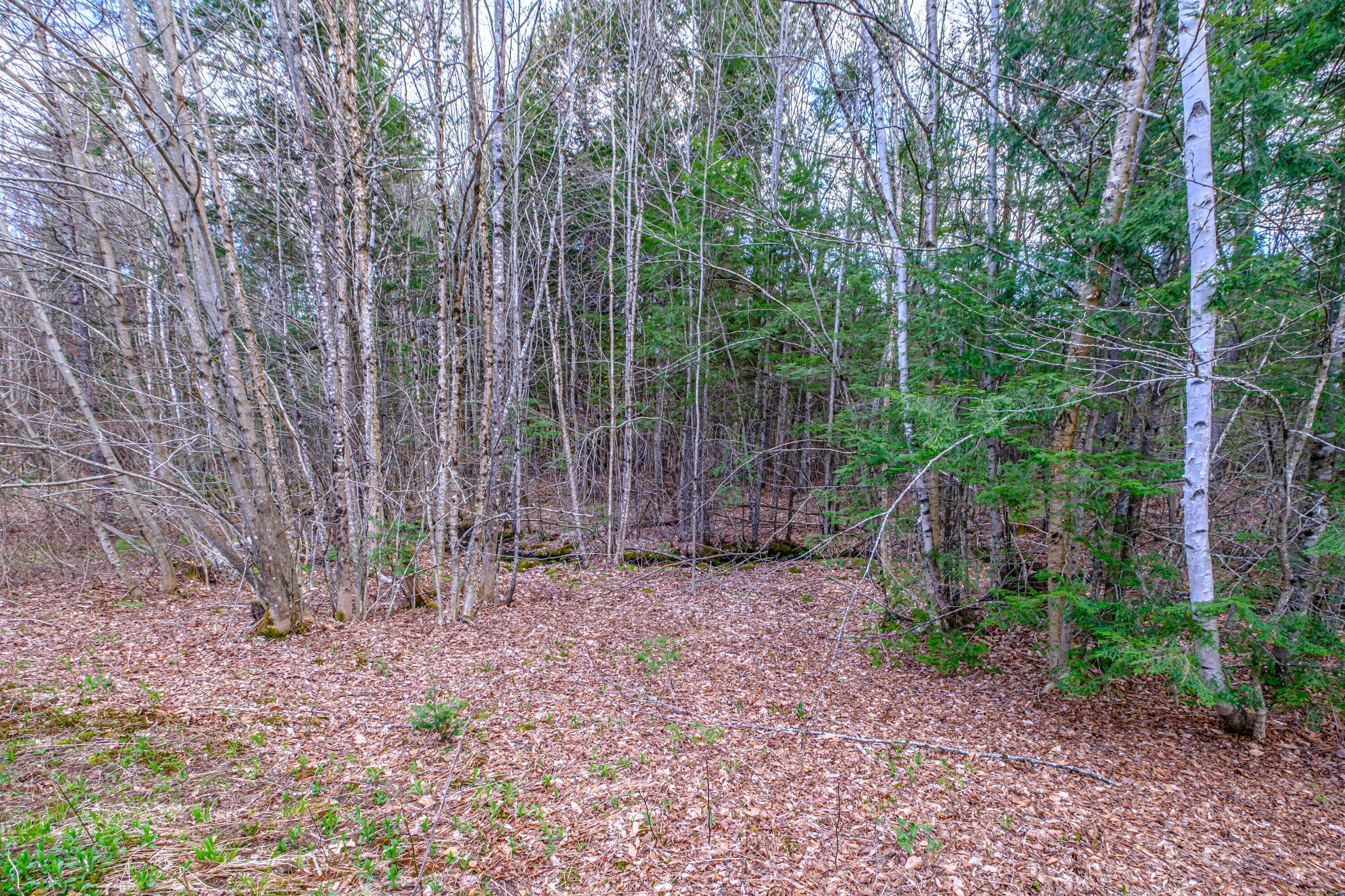 220 Kimball Road Bridgton, ME 04009 - Photo 70 of 78 20260504gp-64042