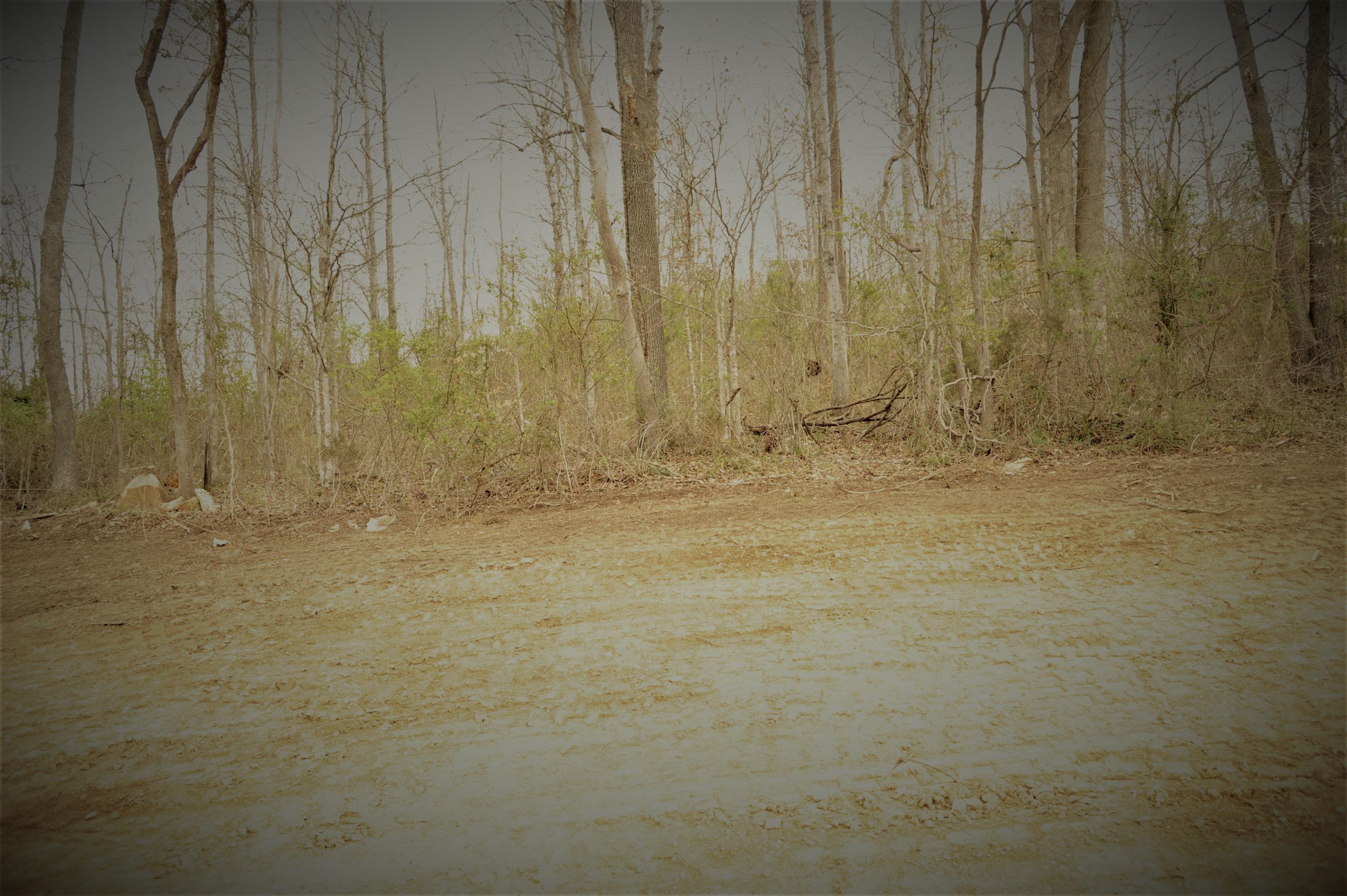 295 Timber Creek Road Maynardville, TN 37807 - Photo 21 of 25 DSC_6096