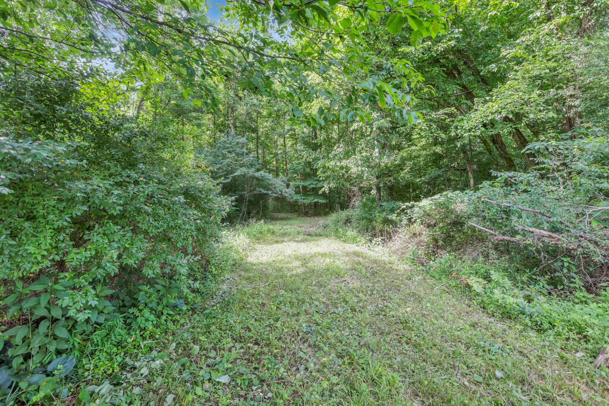 0 Clay Hill Road, Unit LOT 1 Logan, OH 43138 - Photo 11 of 11 LOT 3 WOODED LANE