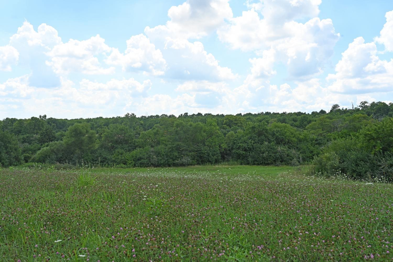 21.229-ac 21.229-ac Waynes Trace Road Hamilton, OH 45011 - Photo 5 of 23