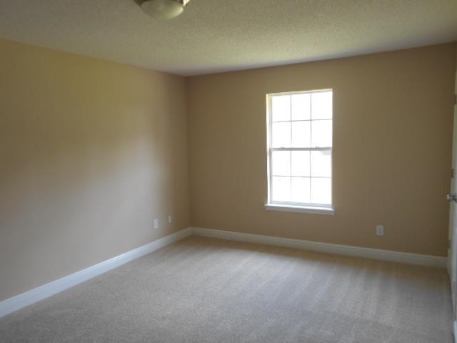 2831 Wallace Lake Road Pace, FL 32571 - Photo 19 of 23
