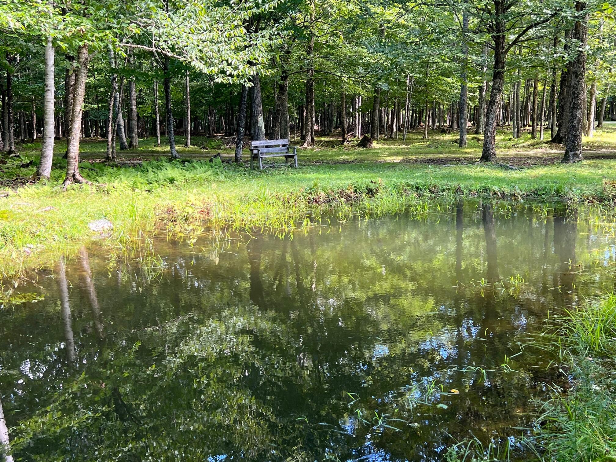 350 Charleston Road Dexter, ME 04930 - Photo 34 of 43 34