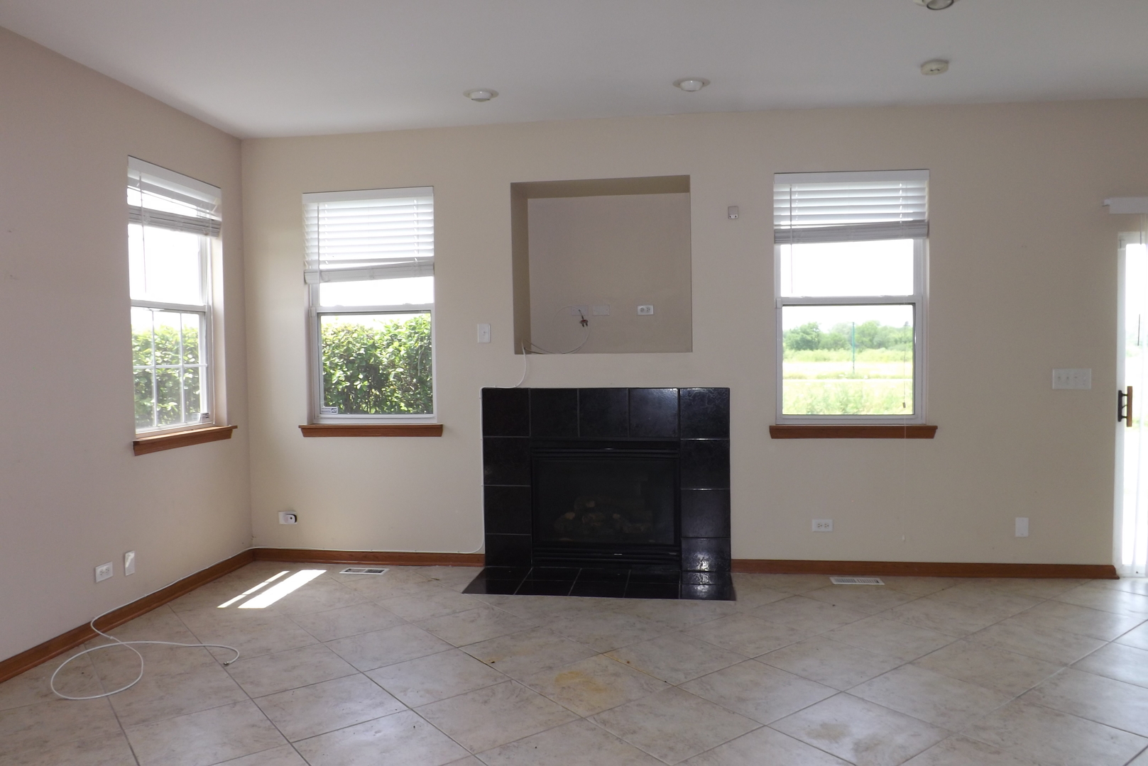 21130 Gray Hawk Drive Matteson, IL 60443 - Photo 2 of 14 an empty room with windows and fireplace