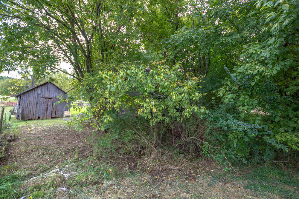 517 Bacon Branch Road Jonesborough, TN 37659 - Photo 53 of 58 IMG_6292