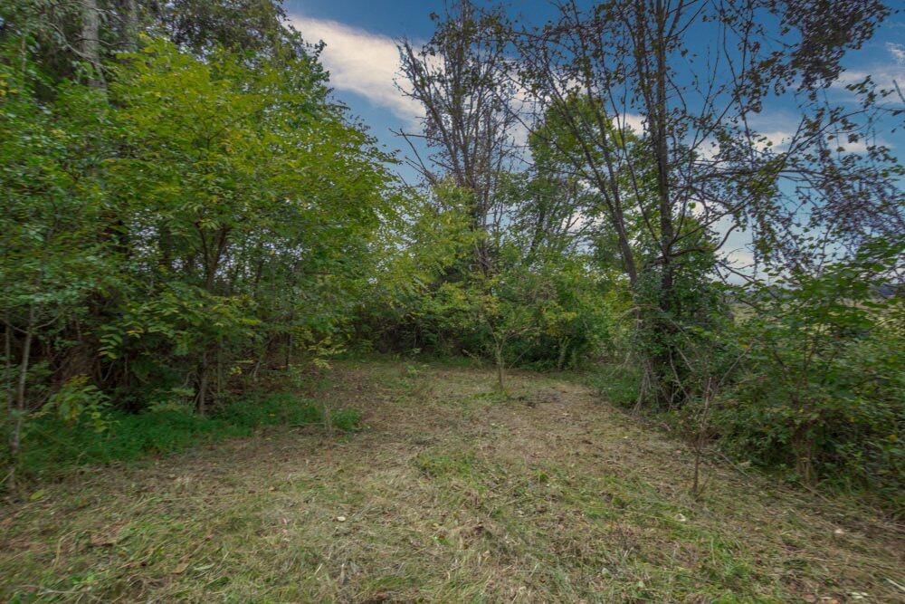 517 Bacon Branch Road Jonesborough, TN 37659 - Photo 54 of 58 IMG_6294_18