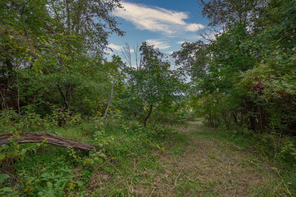 517 Bacon Branch Road Jonesborough, TN 37659 - Photo 55 of 58 IMG_6296_19
