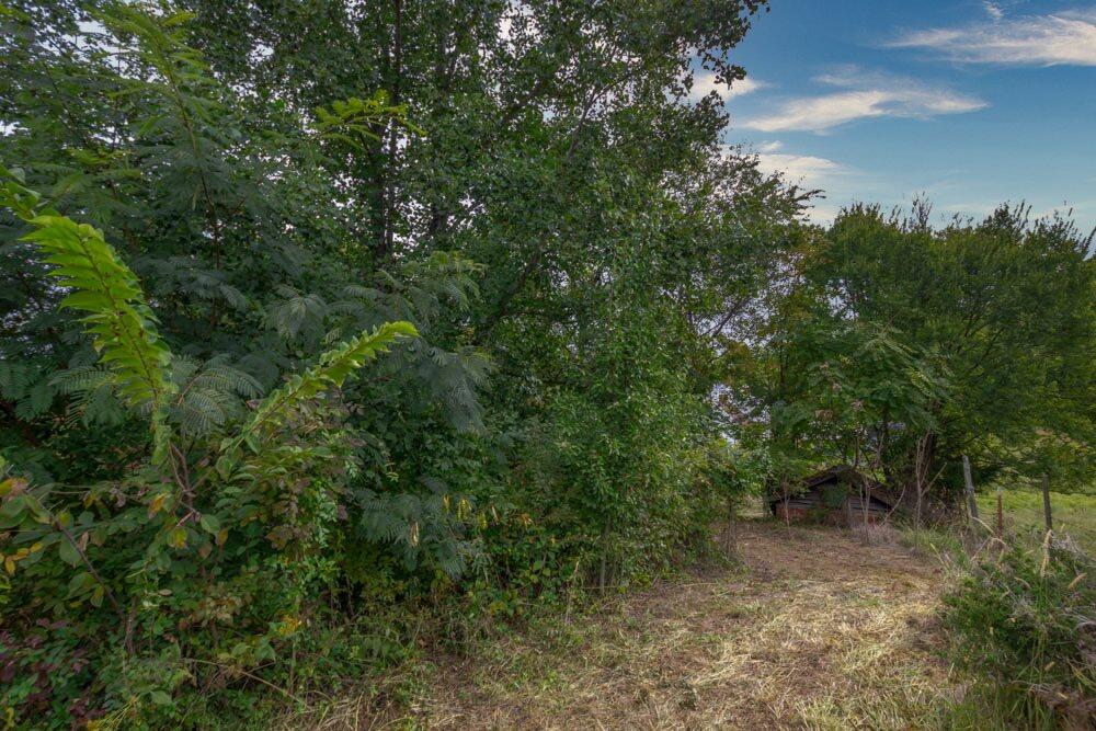 517 Bacon Branch Road Jonesborough, TN 37659 - Photo 56 of 58 IMG_6300_20