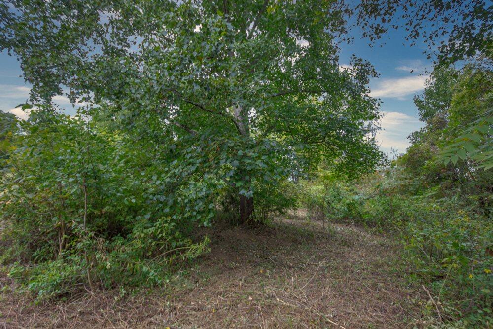 517 Bacon Branch Road Jonesborough, TN 37659 - Photo 57 of 58 IMG_6302_21