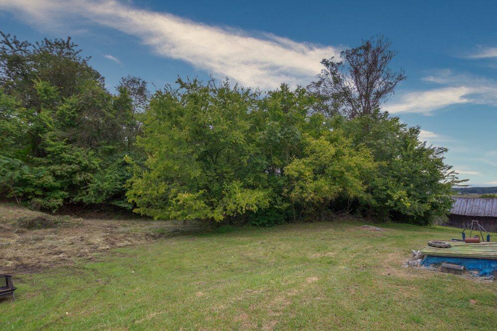 517 Bacon Branch Road Jonesborough, TN 37659 - Photo 9 of 58 IMG_6246_8