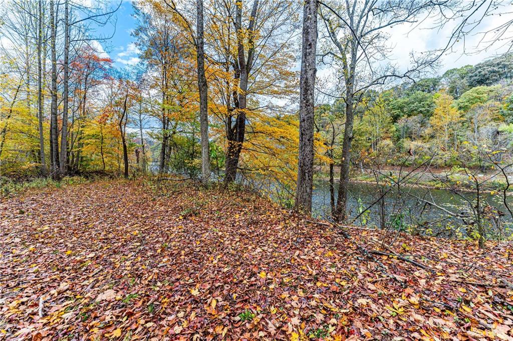 a backyard of a house with lots of green space and lake view