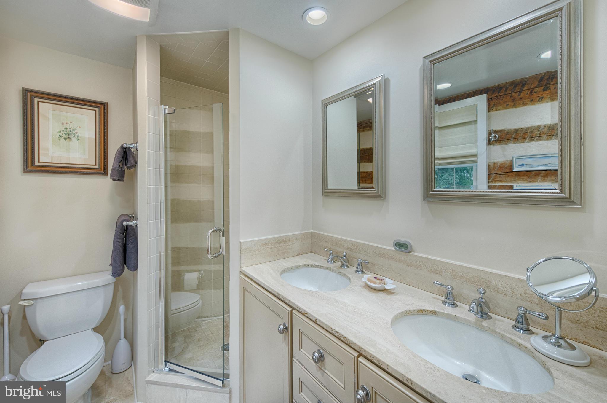 3115 Caves Road Owings Mills, MD 21117 - Photo 22 of 30 Bath (Master)