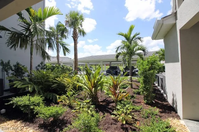 a view of a plant in a yard