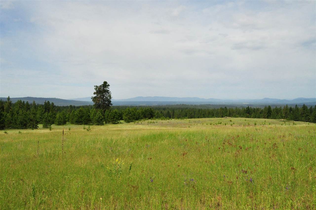 39812 North Jackson Road Elk, WA 99009 - Photo 1 of 20