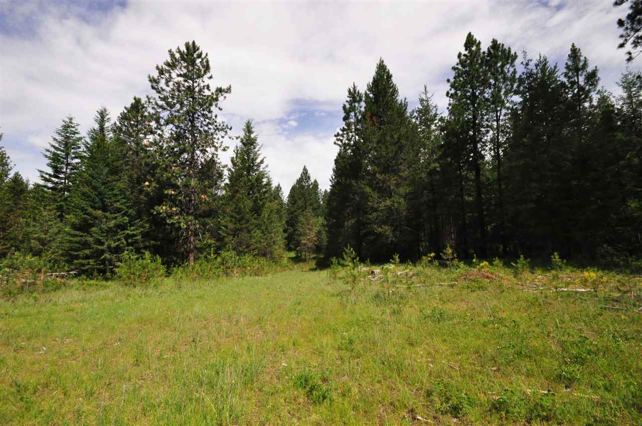 39812 North Jackson Road Elk, WA 99009 - Photo 2 of 20