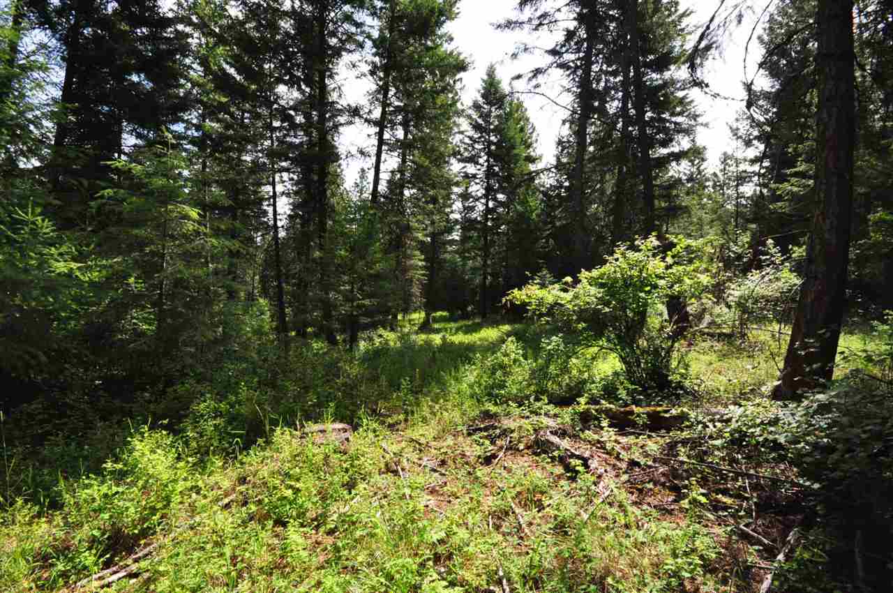 39812 North Jackson Road Elk, WA 99009 - Photo 11 of 20