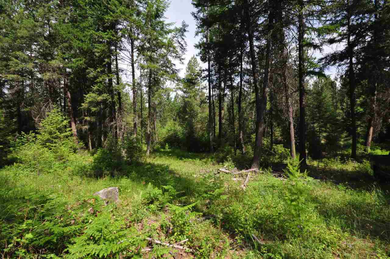 39812 North Jackson Road Elk, WA 99009 - Photo 12 of 20
