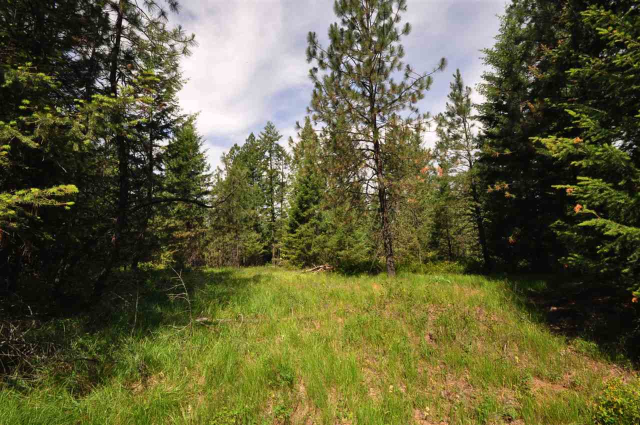 39812 North Jackson Road Elk, WA 99009 - Photo 13 of 20