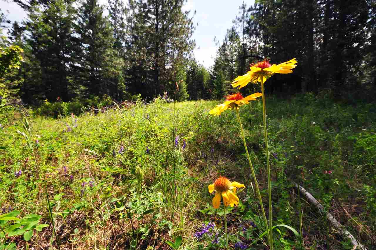39812 North Jackson Road Elk, WA 99009 - Photo 14 of 20