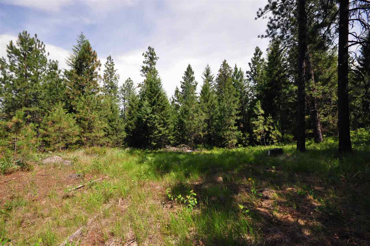 39812 North Jackson Road Elk, WA 99009 - Photo 15 of 20