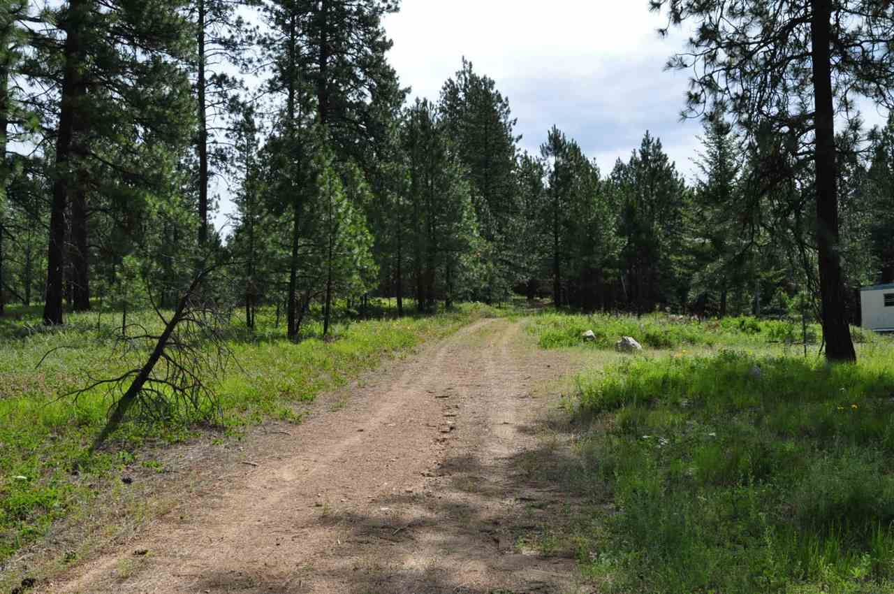 39812 North Jackson Road Elk, WA 99009 - Photo 16 of 20