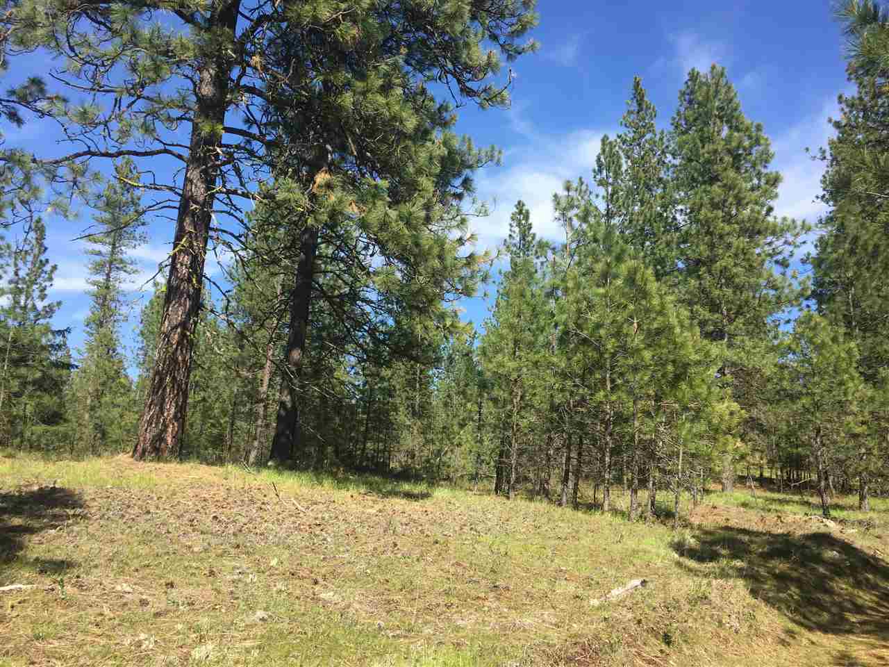 39812 North Jackson Road Elk, WA 99009 - Photo 18 of 20