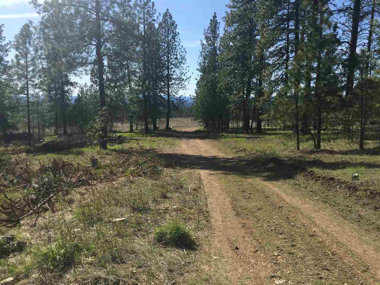 39812 North Jackson Road Elk, WA 99009 - Photo 19 of 20