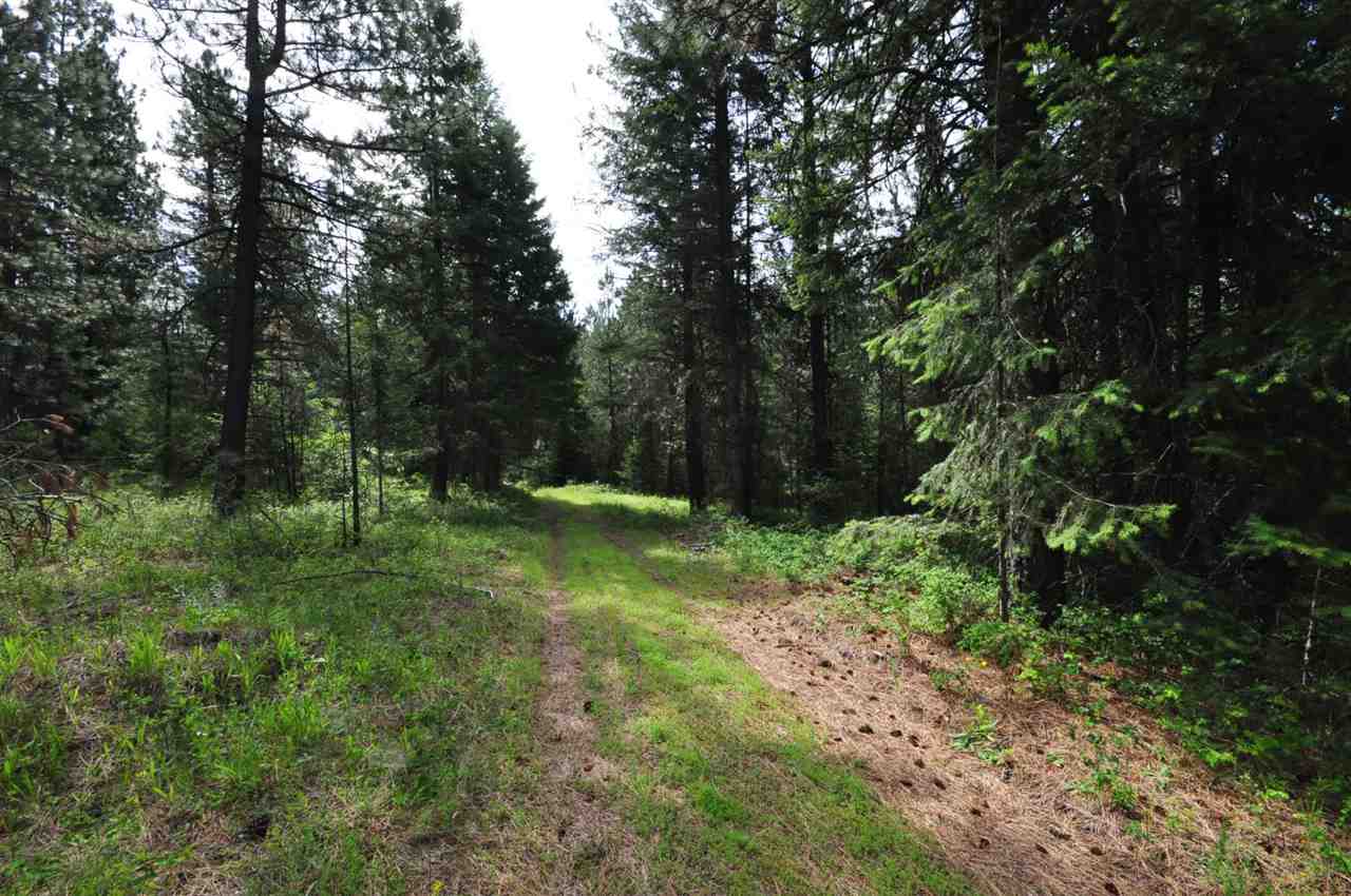 39812 North Jackson Road Elk, WA 99009 - Photo 20 of 20