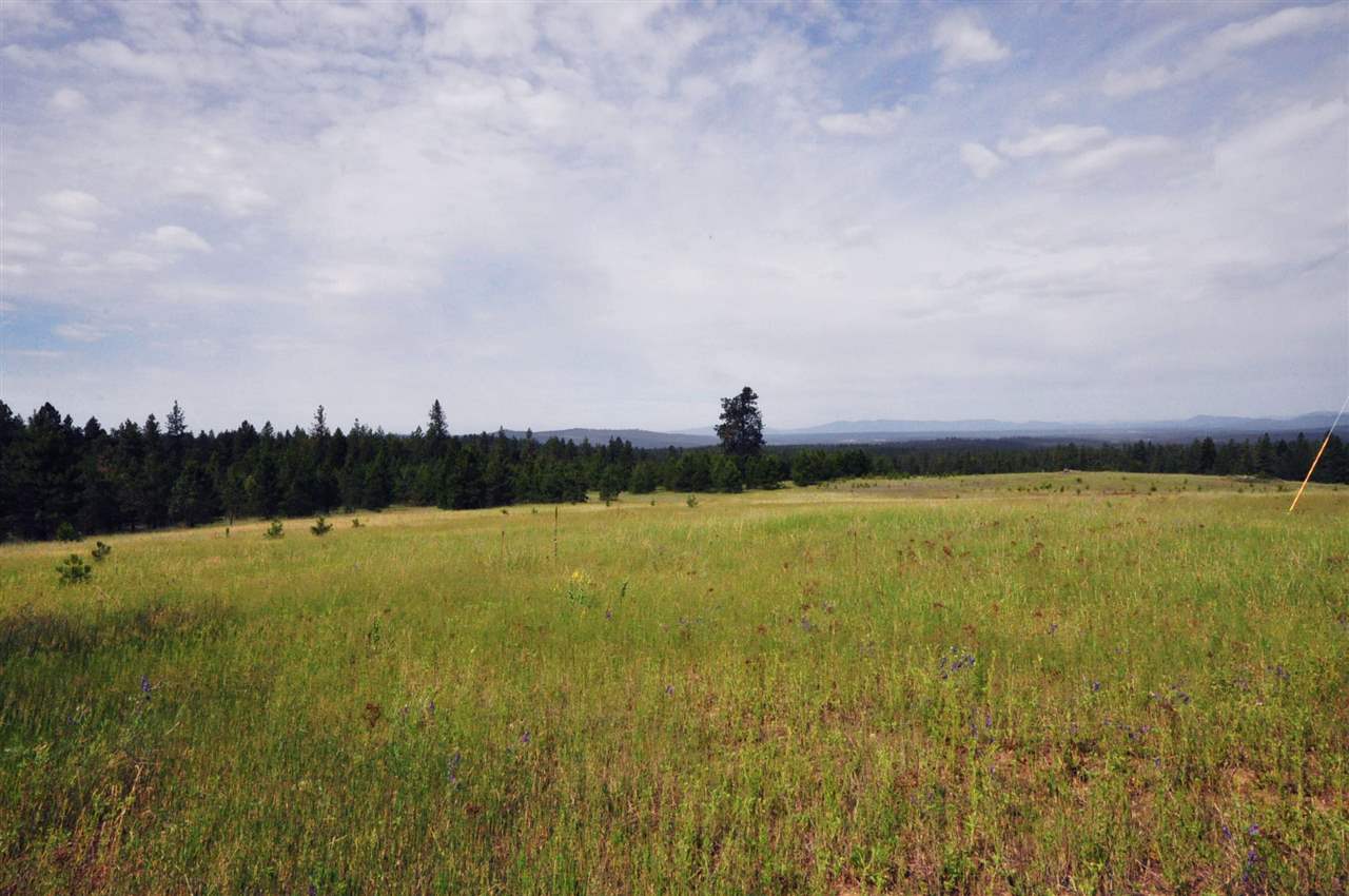 39812 North Jackson Road Elk, WA 99009 - Photo 3 of 20
