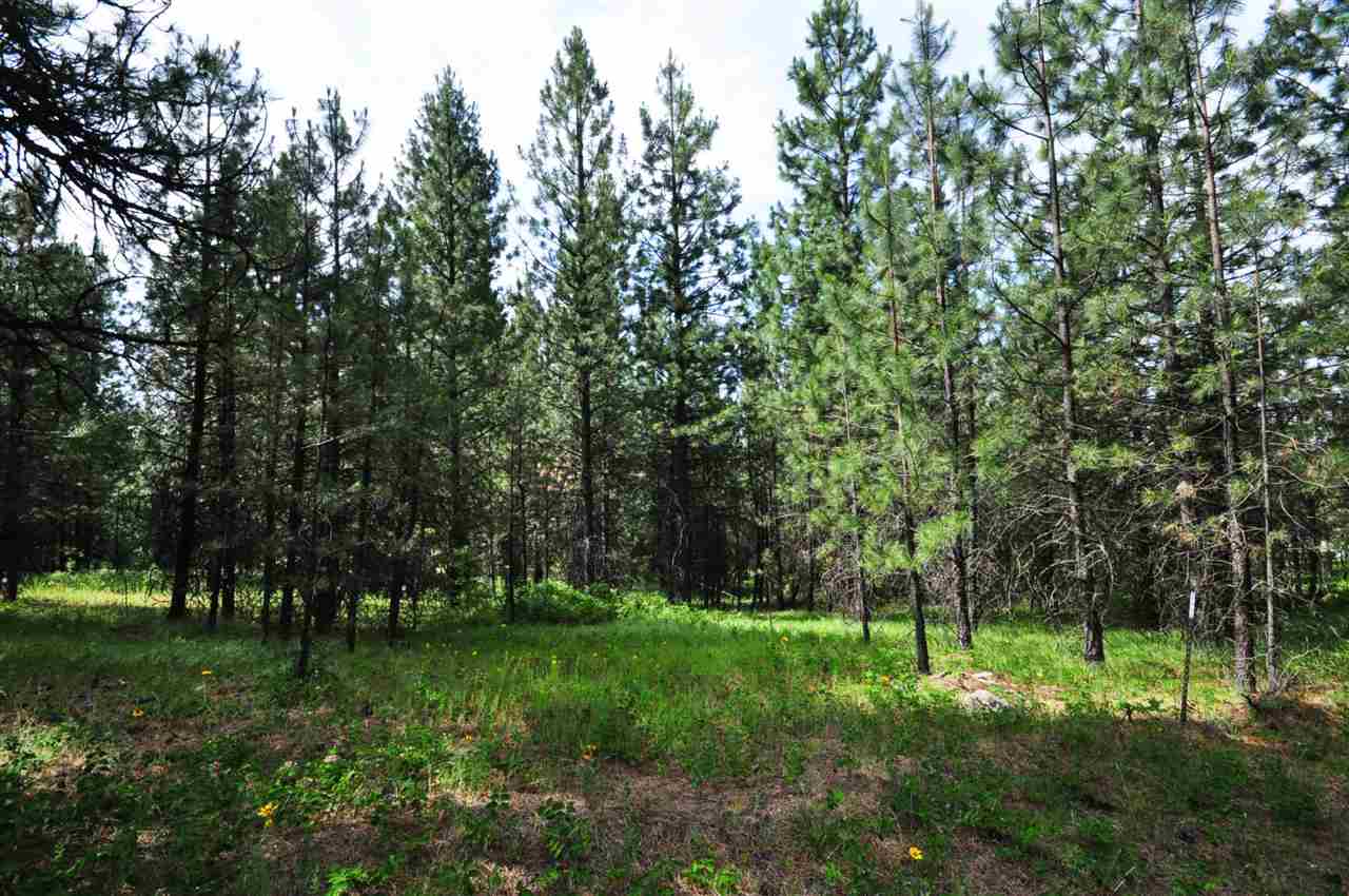 39812 North Jackson Road Elk, WA 99009 - Photo 7 of 20