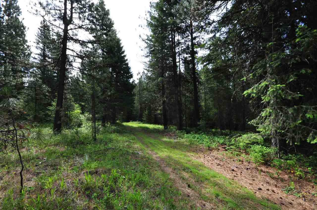 39812 North Jackson Road Elk, WA 99009 - Photo 8 of 20
