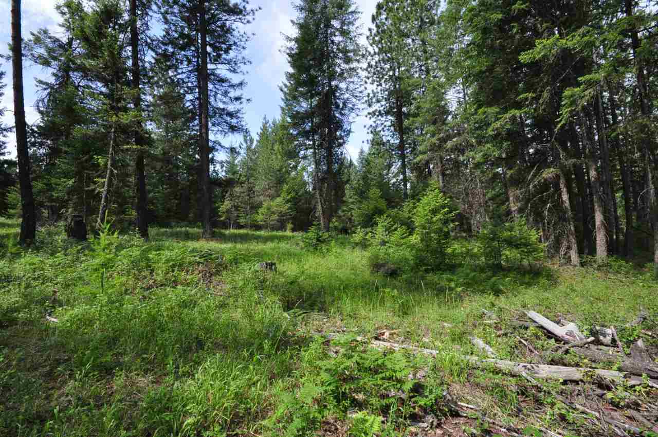 39812 North Jackson Road Elk, WA 99009 - Photo 9 of 20