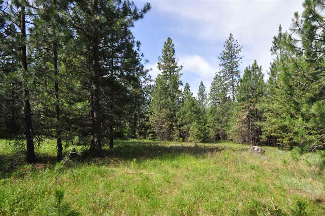39812 North Jackson Road Elk, WA 99009 - Photo 10 of 20