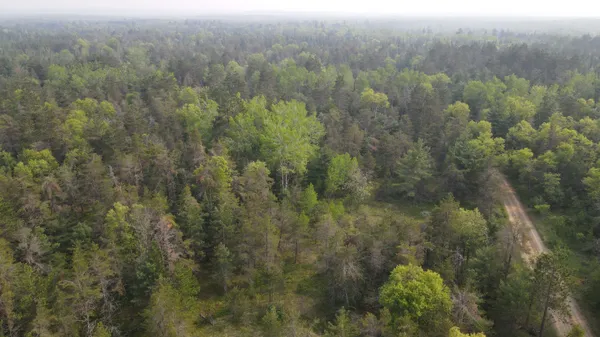 $139,900 | Parcel C Cherry Creek Road, Grayling, MI 49738