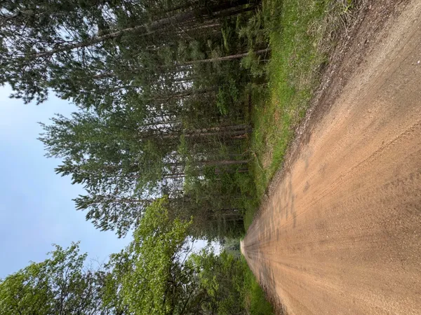 $139,900 | Parcel C Cherry Creek Road, Grayling, MI 49738