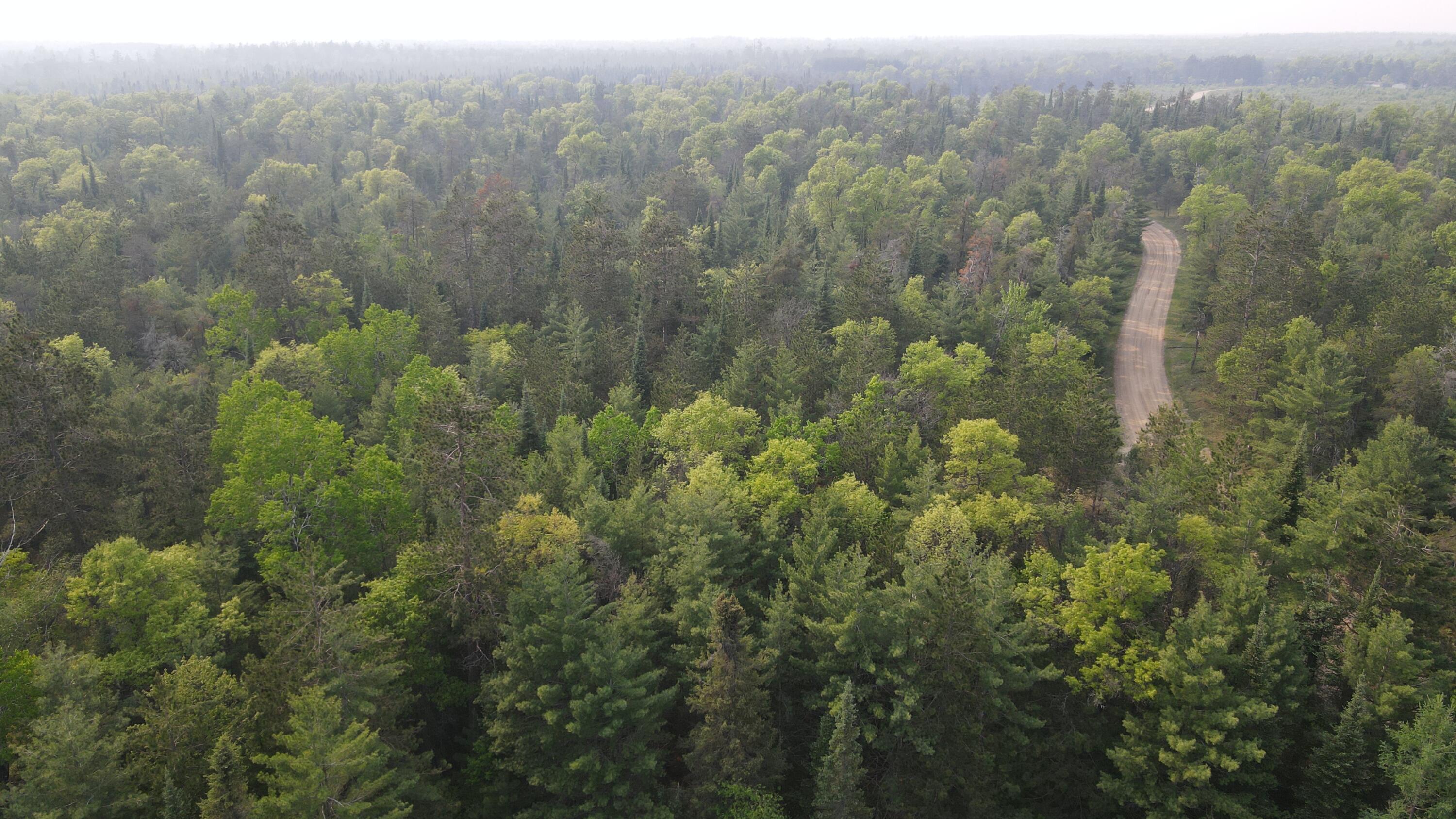 Parcel C Cherry Creek Road Grayling, MI 49738 - Photo 2 of 18 DJI_0932
