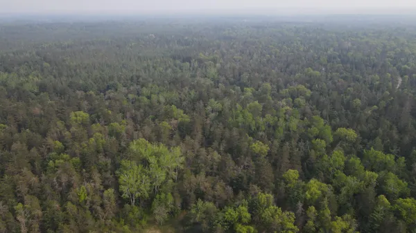 $139,900 | Parcel C Cherry Creek Road, Grayling, MI 49738