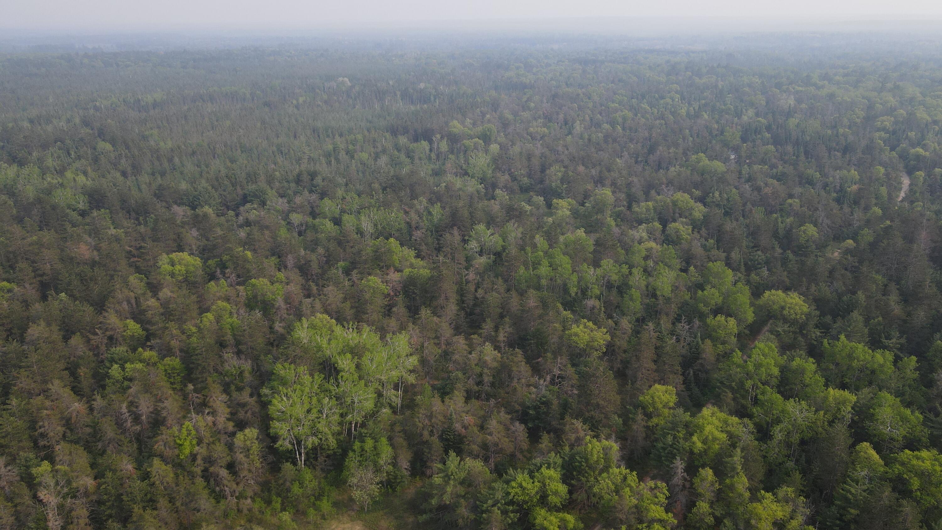 Parcel C Cherry Creek Road Grayling, MI 49738 - Photo 3 of 18 DJI_0940